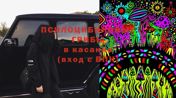 СК Надым