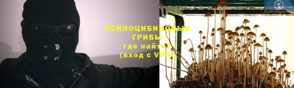 СК Надым