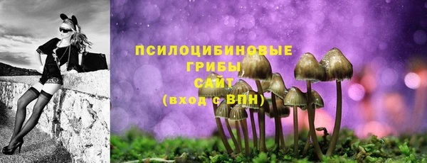 ECSTASY Навашино
