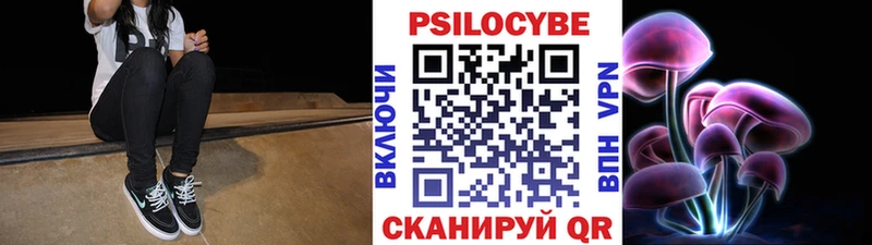 Псилоцибиновые грибы Cubensis  Купить  Ипатово 